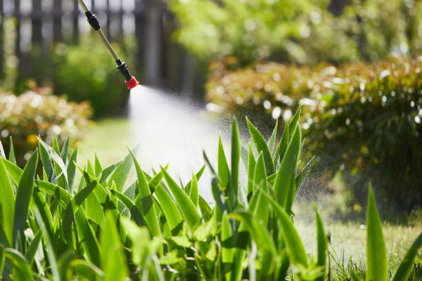 Tamper-Resistant Bait Stations for Rodents in Crystal