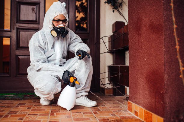 Attic and Crawl Space Rodent Treatment in Crystal